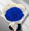 60 Blue Ecuadorian Roses - L